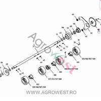 ROATA DE LANT 1x1/4"-T24 014.00795