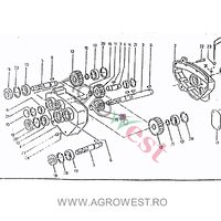 ROATA DINTATA 012.00025