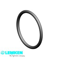 O-RING 58.7x5 37810288